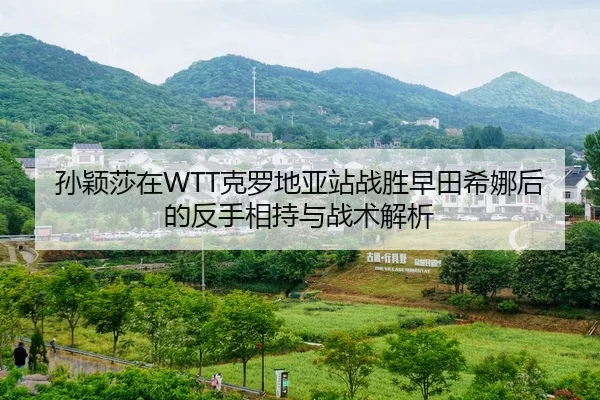 孙颖莎在WTT克罗地亚站战胜早田希娜后的反手相持与战术解析